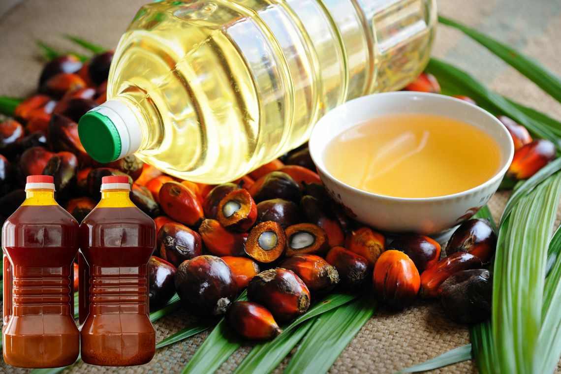 How to start profitable palm oil business in Nigeria: 6 crucial steps